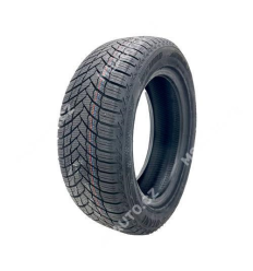 Otani WE1000 195/55 R16 91H TL XL M+S 3PMSF