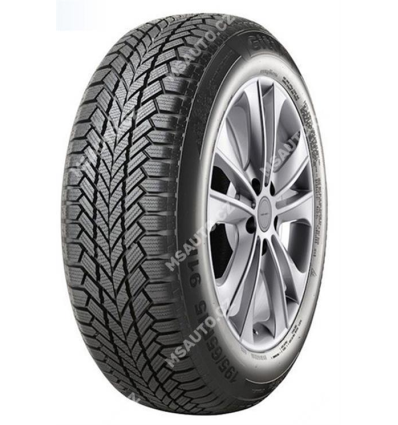 Giti WINTER W1