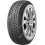 Giti WINTER W1